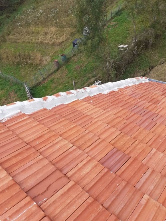 Travaux réalisés par TP Peinture