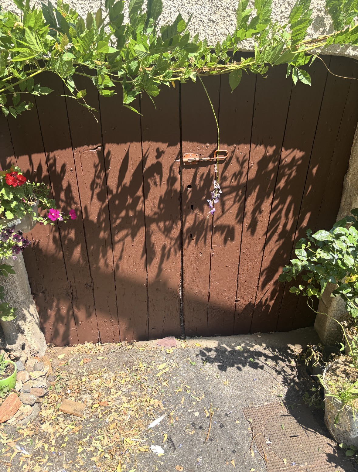 Porte extérieure après rénovation